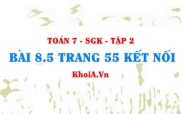 Bài 8.5 trang 55 Toán 7 Kết nối tri thức Tập 2